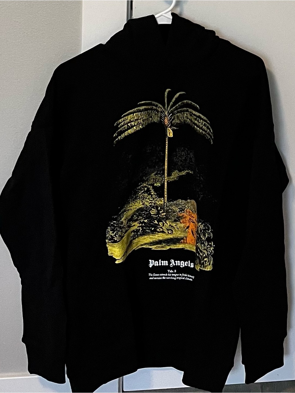 Palm Angels Black Hoodie with Green and Orange Palm Graphic